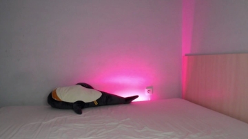 Artycropp  21-11-2021 video makemecum